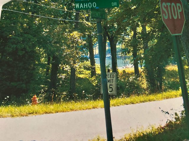 TBD Wahoo Drive, Cherokee Village, AR 72529