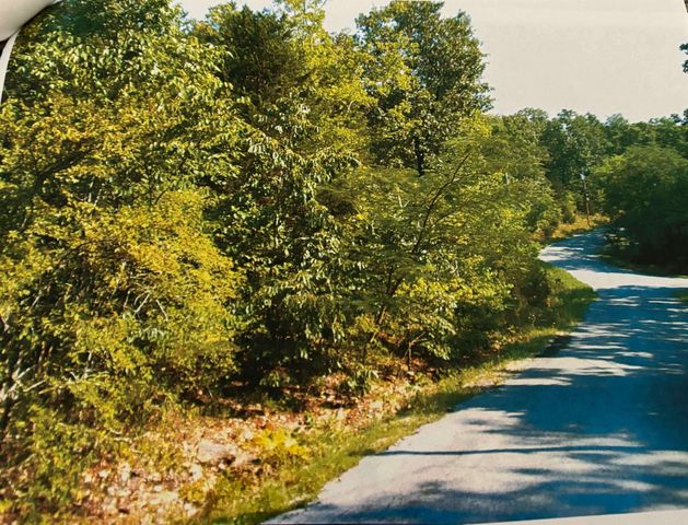 TBD Wahoo Drive, Cherokee Village, AR 72529