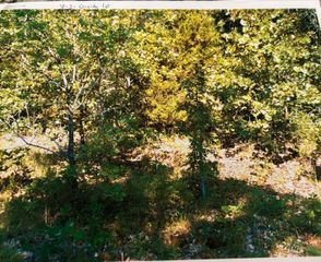 TBD Wahoo Drive, Cherokee Village, AR 72529