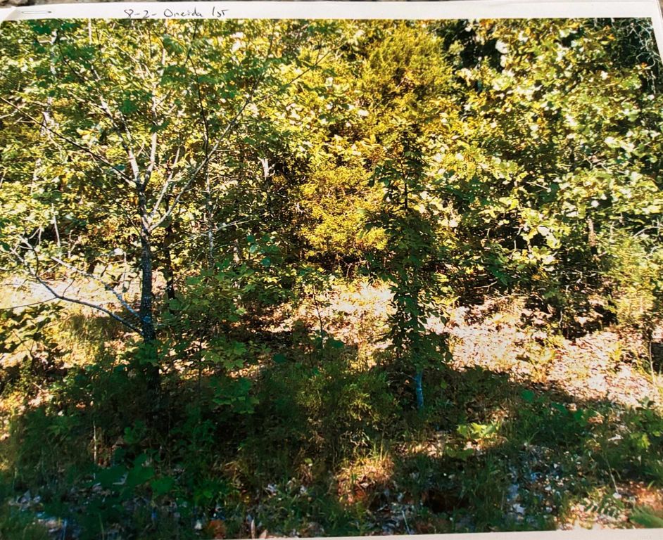 TBD Wahoo Drive, Cherokee Village, AR 72529