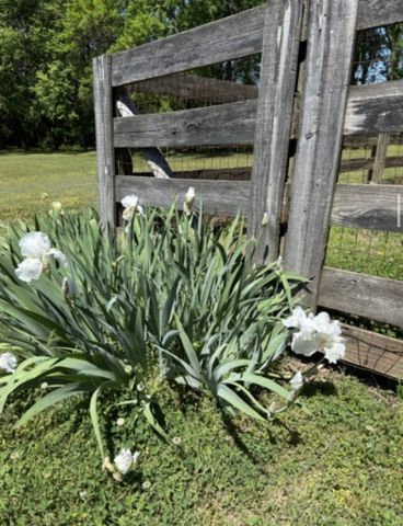 2118 Sue Ln, Spring Hill, TN 37174