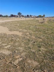 0 111 Ste Drt Vic V14 Ste, Pearblossom, CA 93553