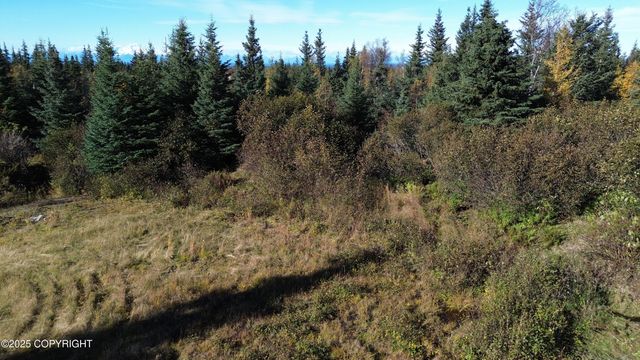 31511 Kalugin Place, Nikolaevsk, AK 99556