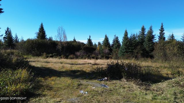 31511 Kalugin Place, Nikolaevsk, AK 99556