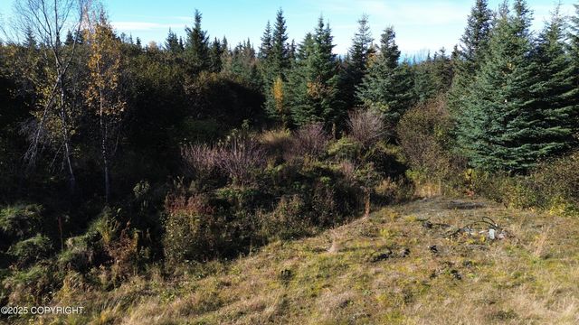 31511 Kalugin Place, Nikolaevsk, AK 99556