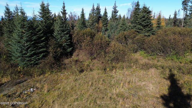 31511 Kalugin Place, Nikolaevsk, AK 99556