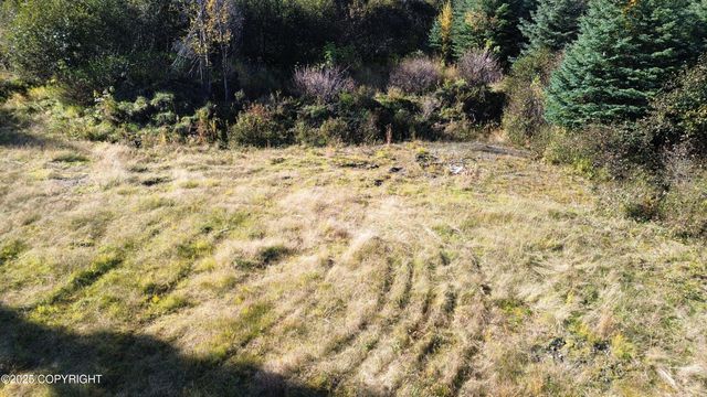 31511 Kalugin Place, Nikolaevsk, AK 99556