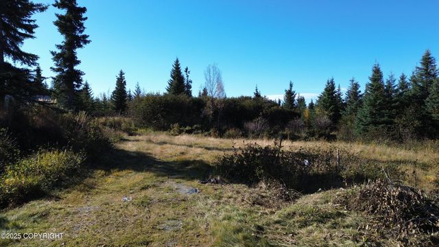 31511 Kalugin Place, Nikolaevsk, AK 99556