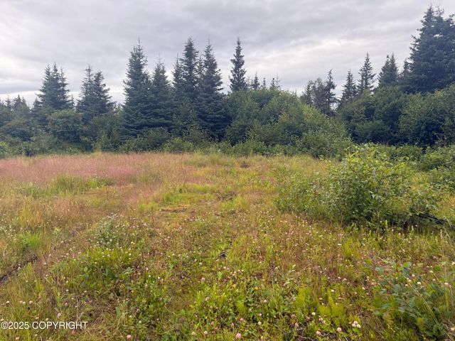 31511 Kalugin Place, Nikolaevsk, AK 99556