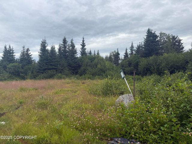 31511 Kalugin Place, Nikolaevsk, AK 99556