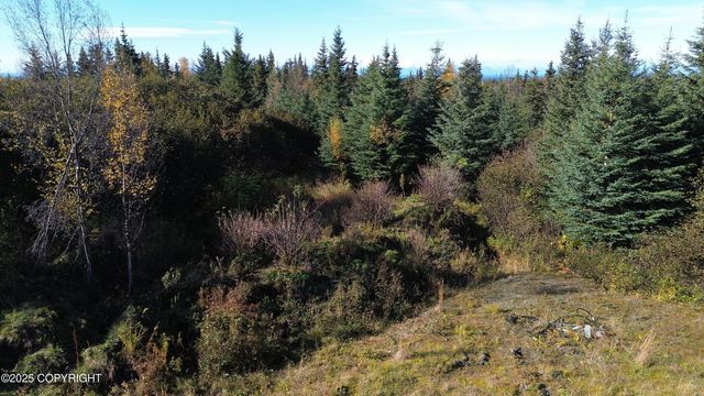 31511 Kalugin Place, Nikolaevsk, AK 99556