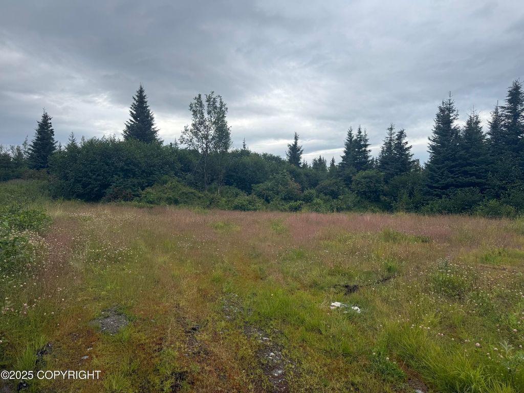 31511 Kalugin Place, Nikolaevsk, AK 99556
