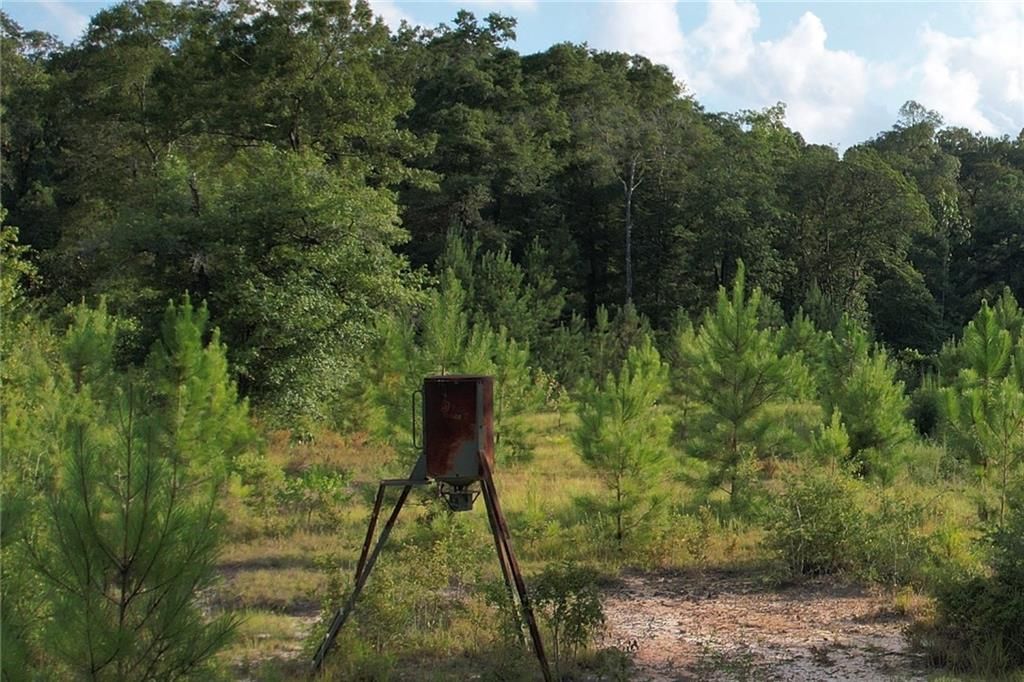 0 Hunters Trail, Citronelle, AL 36522 — photo 3