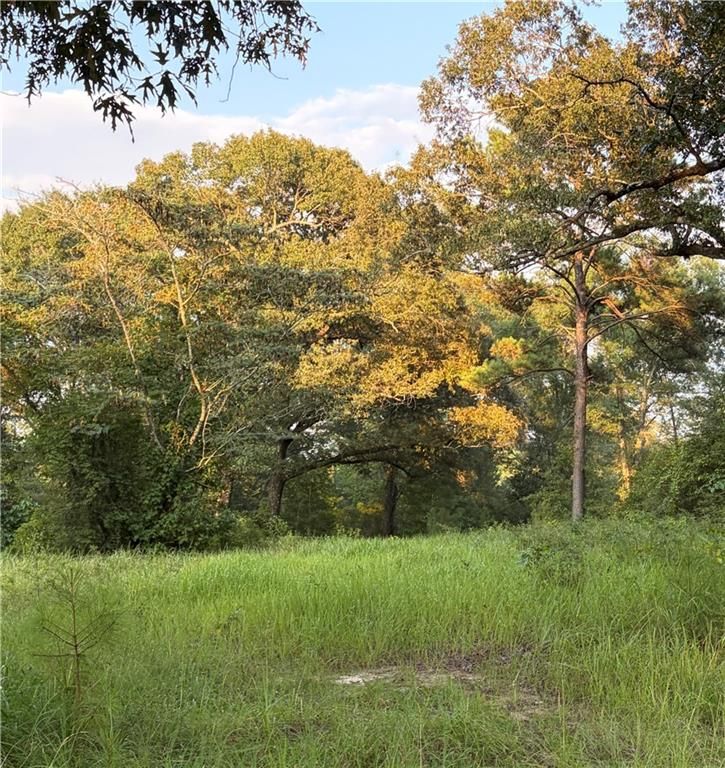 0 Hunters Trail, Citronelle, AL 36522 — photo 4