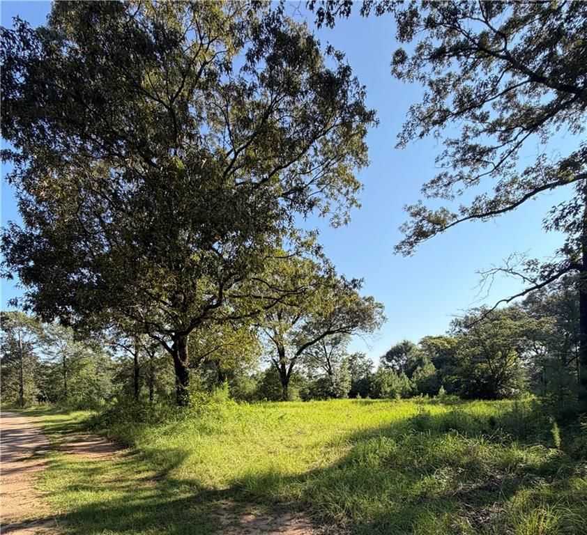 0 Hunters Trail, Citronelle, AL 36522 — photo 5