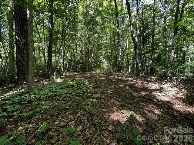 00 Lake Logan Road, Canton, NC 28716