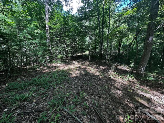 00 Lake Logan Road, Canton, NC 28716
