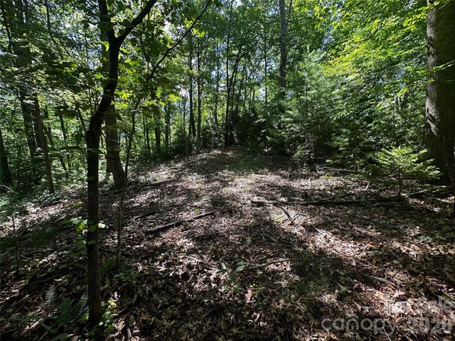 00 Lake Logan Road, Canton, NC 28716