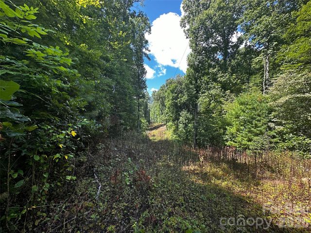 00 Lake Logan Road, Canton, NC 28716