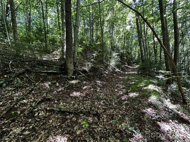 00 Lake Logan Road, Canton, NC 28716
