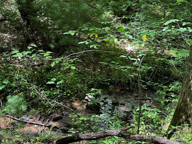 00 Lake Logan Road, Canton, NC 28716