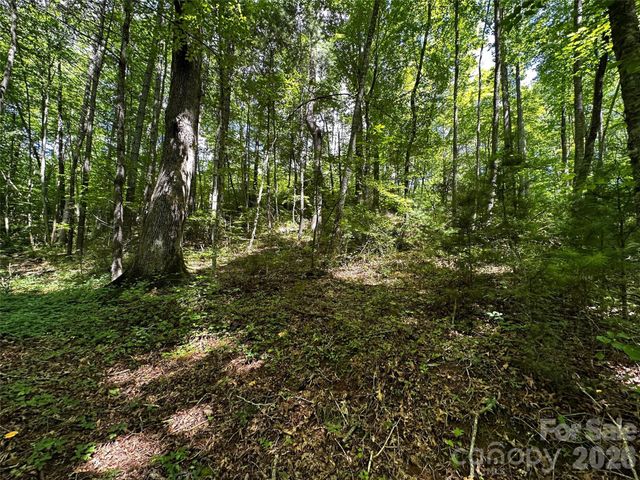 00 Lake Logan Road, Canton, NC 28716