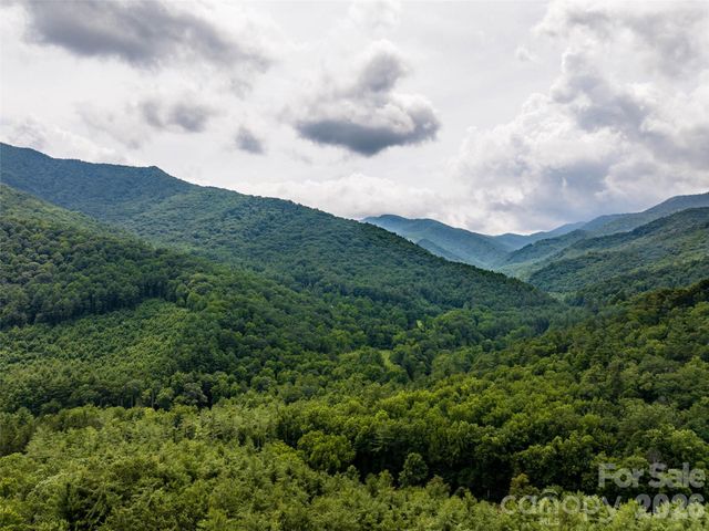 00 Lake Logan Road, Canton, NC 28716