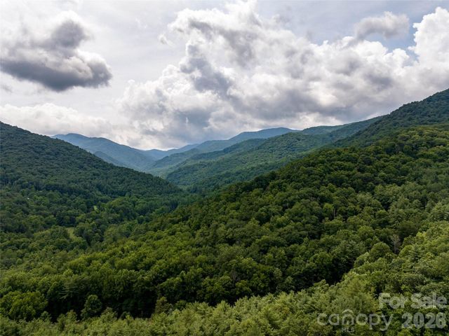 00 Lake Logan Road, Canton, NC 28716