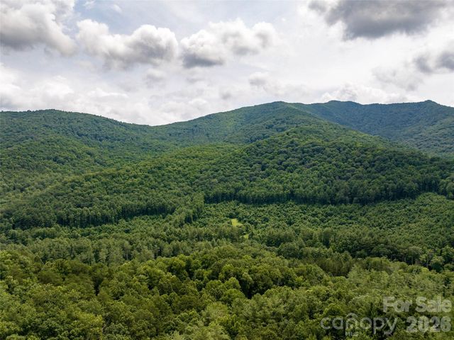 00 Lake Logan Road, Canton, NC 28716