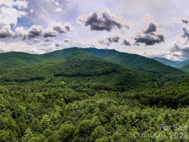 00 Lake Logan Road, Canton, NC 28716