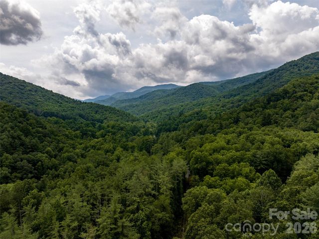 00 Lake Logan Road, Canton, NC 28716