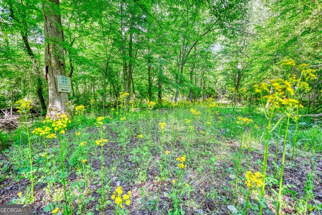 393 Edwards Road, Oxford, GA 30054