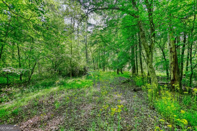 393 Edwards Road, Oxford, GA 30054