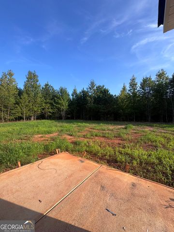 137 Aerodrome Way, Griffin, GA 30224