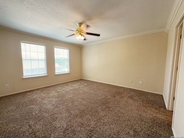 10247 Huisache Field, Helotes, TX 78023