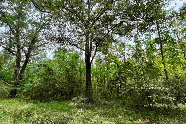 05 Hokaday Rd, Slaughter, LA 70777