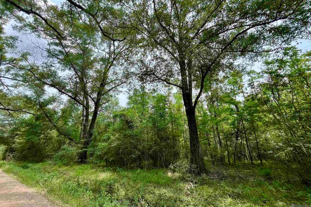 05 Hokaday Rd, Slaughter, LA 70777
