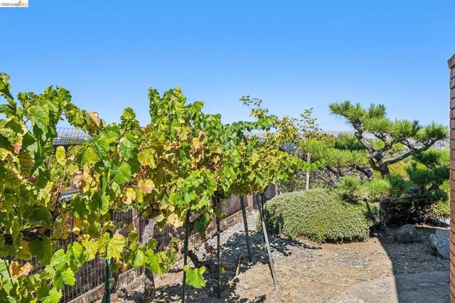 1540 Encanto Place, Walnut Creek, CA 94597