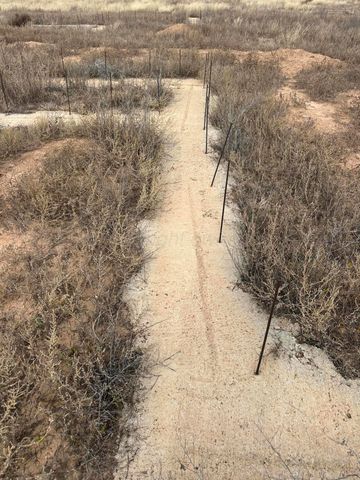 13374 ANTENOR Road, Amarillo, TX 79124