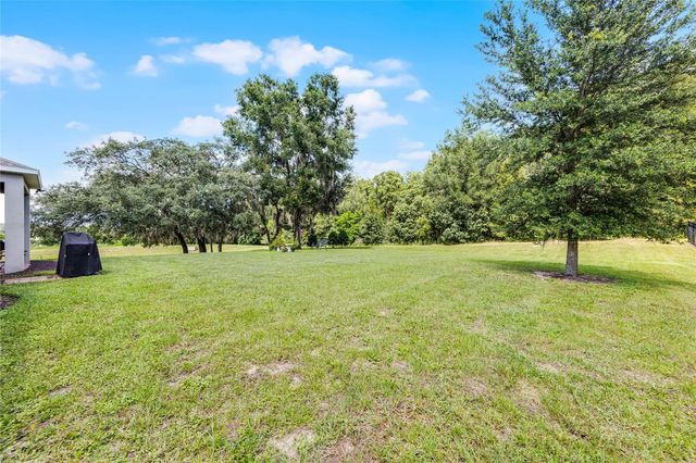 31936 GEOFF WAY, Sorrento, FL 32776