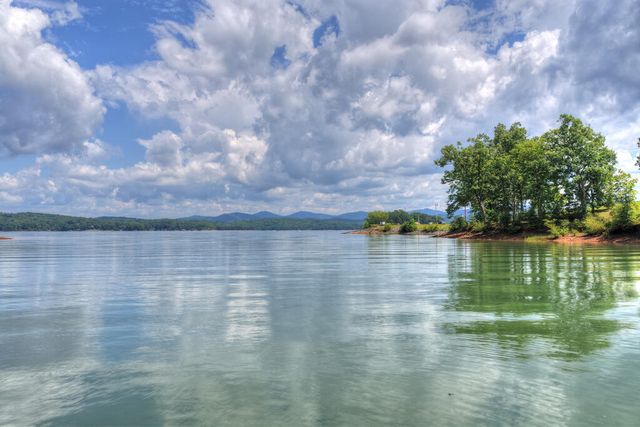 209 Marina Drive, Blue Ridge, GA 30513