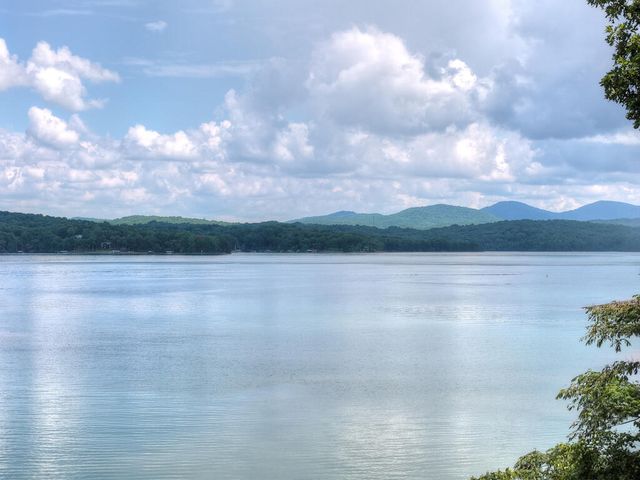 209 Marina Drive, Blue Ridge, GA 30513