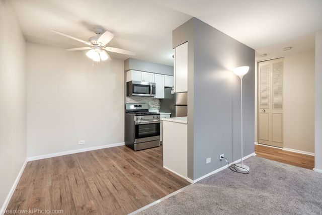 1375 Rebecca Drive 408, Hoffman Estates, IL 60169