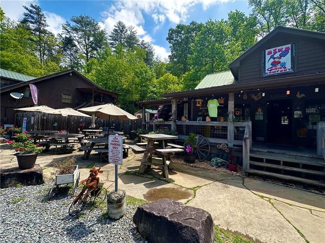 72 S Old Aska Road, Blue Ridge, GA 30513
