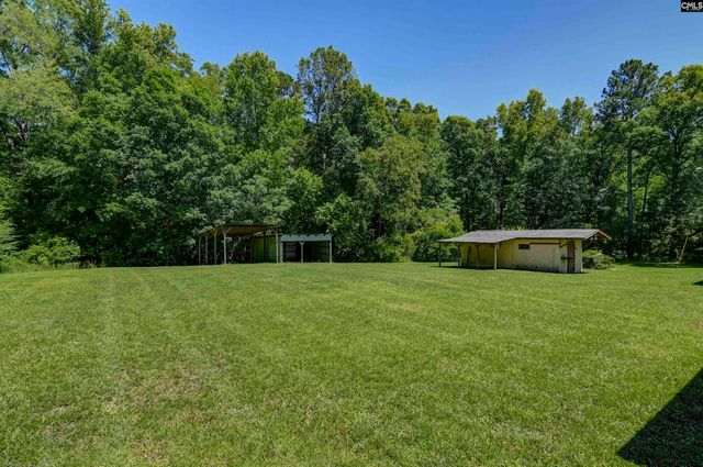 301 Amicks ferry Road, Chapin, SC 29036