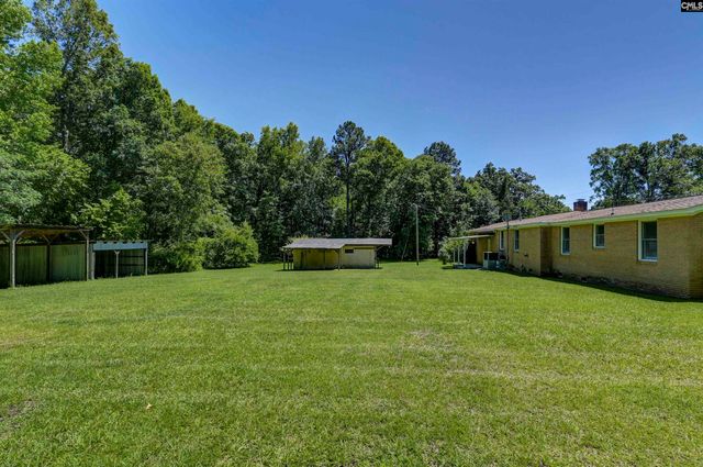 301 Amicks ferry Road, Chapin, SC 29036