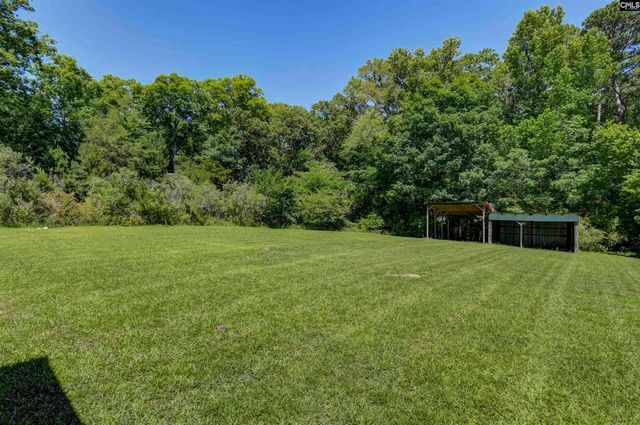 301 Amicks ferry Road, Chapin, SC 29036