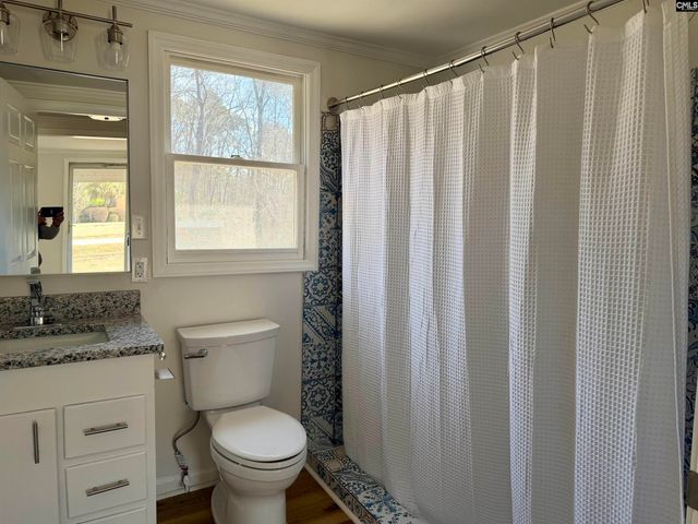 301-A Amicks ferry Road, Chapin, SC 29036