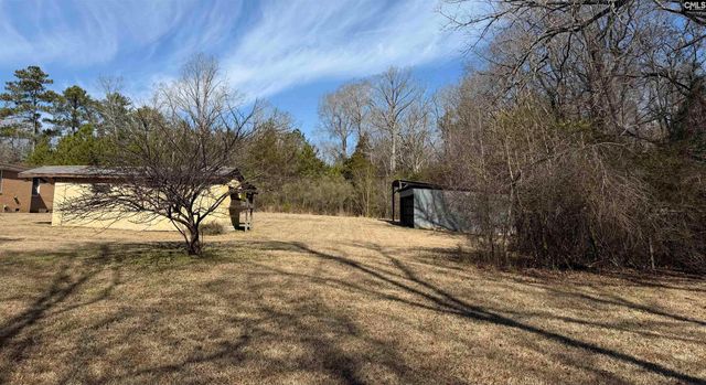 301-A Amicks ferry Road, Chapin, SC 29036