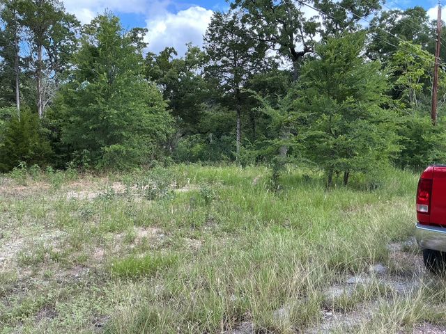 175 Chillacothe Trail, Mabank, TX 75156